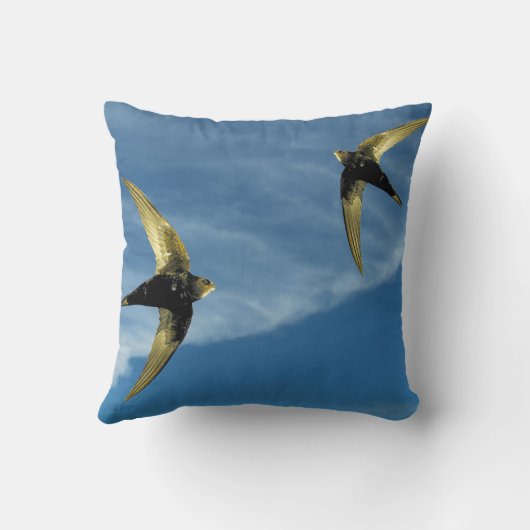 クッション (裏面)