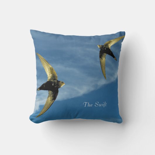 クッション (正面)