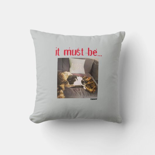 クッション (正面)