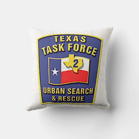 クッション (裏面)