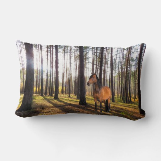 クッション (裏面)