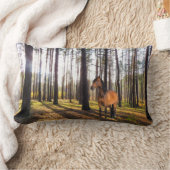 クッション (ブランケット)