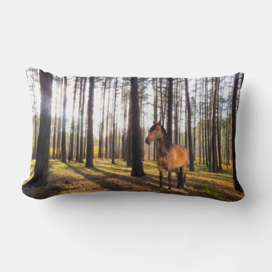 クッション (正面)