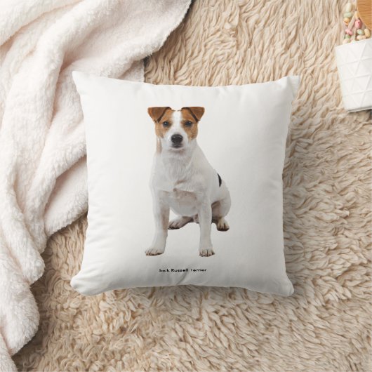 クッション (ブランケット)