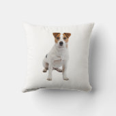 クッション (裏面)