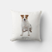 クッション (正面)