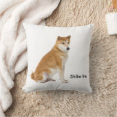 クッション (ブランケット)