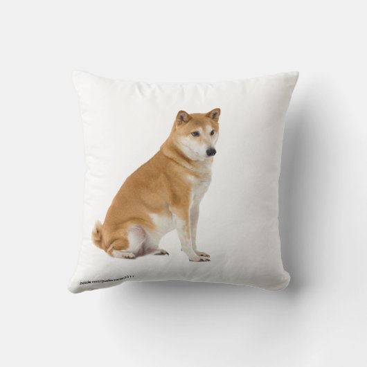 クッション (裏面)