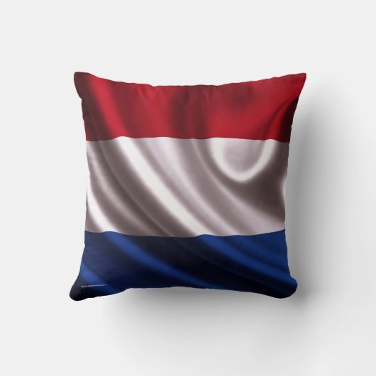 クッション (裏面)