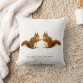 クッション (ブランケット)