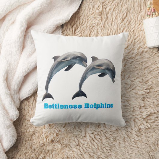 クッション (ブランケット)