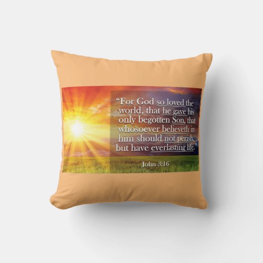 クッション (正面)