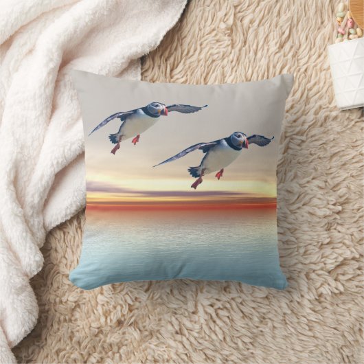 クッション (ブランケット)