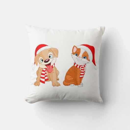 クッション, クッション (正面)