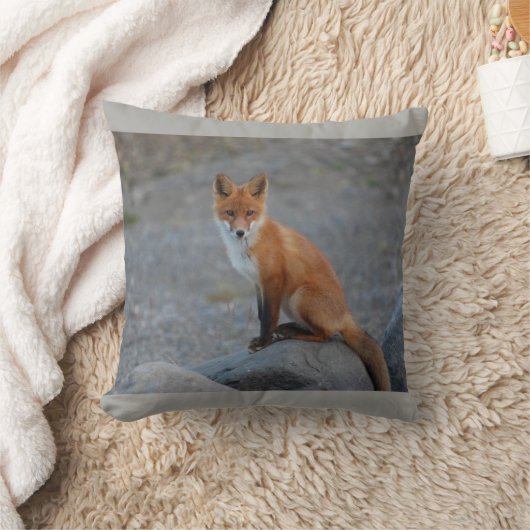 クッション、孤の装飾用クッション、孤のギフトを孤色に変色させて下さい クッション (ブランケット)