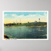 クッシング島の白い頭の景色 ポスター (正面)