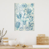 クテノフォラ ポスター (キッチン)