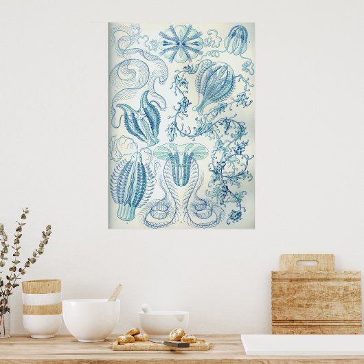 クテノフォラ ポスター (キッチン)