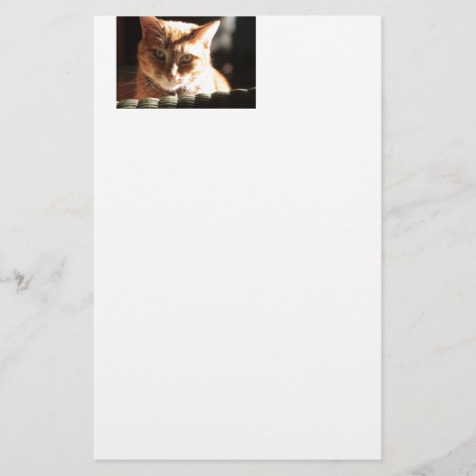 クテ子猫! 便箋 (正面)