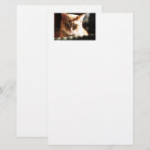 クテ子猫! 便箋 (正面/裏面)