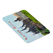 クトナホラの聖バルバラ大聖堂の眺め。 マグネット (右側)