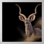 クドゥの精神 ポスター (正面)