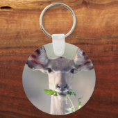 クドゥポートレート キーホルダー (正面)