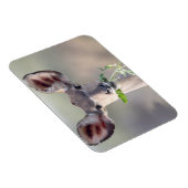 クドゥポートレート マグネット (右側)