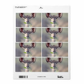 クドゥポートレート ラベル (フルシート)