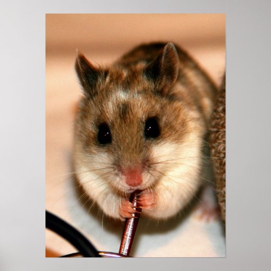 クナウ ポスター (正面)