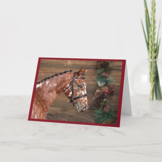 クナブストゥッペル種の雄馬のクリスマスカード サンキューカード (正面)