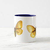 クヌギノメイガの雌 ツートーンマグカップ (中央)