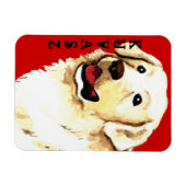 クバスカラーブロック マグネット (横)