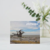 クブアイランドバオバブツリーバオバブボツワナの景色 ポストカード (スタンド正面)