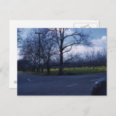 クペルティーノ果樹園1960 ポストカード (正面/裏面)