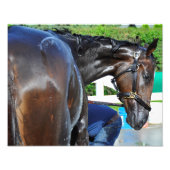 クマため息 フォトプリント            (正面)