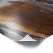 クマため息 フォトプリント            (角)