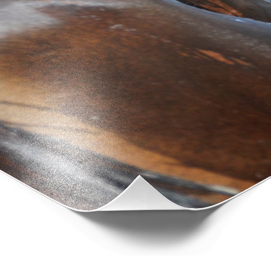 クマため息 フォトプリント            (角)