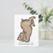 クマだって踊るこ教えとができる」 ポストカード (スタンド正面)