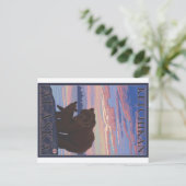 クマとカブ – アラスカ，ケチカン ポストカード (スタンド正面)