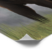 クマとカブ ポスター (角)