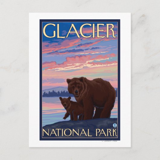 クマとカブ – Glacier National Park, MT ポストカード (正面)