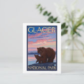 クマとカブ – Glacier National Park, MT ポストカード (スタンド正面)