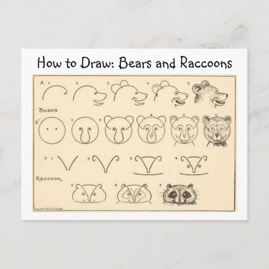 クマとラクーンのヴィンテージはがきを描く ポストカード (正面)