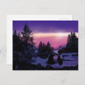 クマと一緒にニューファンドランド・ベア ポストカード (正面/裏面)