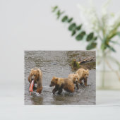 クマと3匹の子犬、ブルックス秋アラスカ ポストカード (スタンド正面)