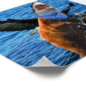 クマのサメのポスター ポスター (角)