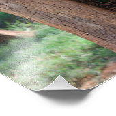 クマの傷 フォトプリント            (角)