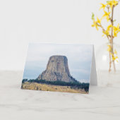 クマの家 カード (黄色い花)