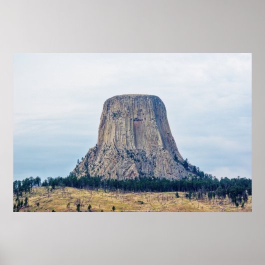 クマの家 ポスター (正面)